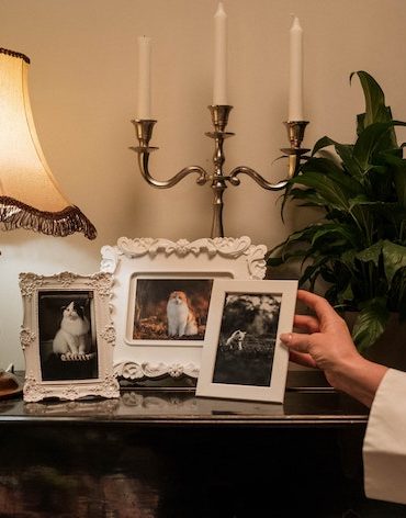 decorate your house for free in Paris