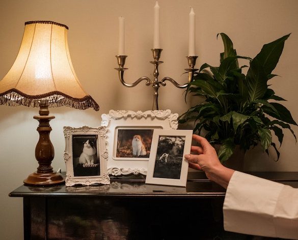 decorate your house for free in Paris